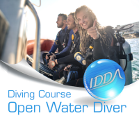 IDDA Open Water Diver (OWD) E-Learning mit online...
